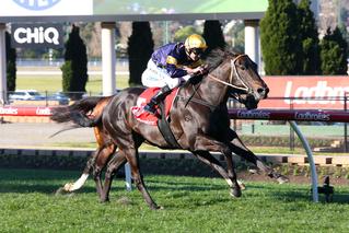 Brutal (NZ) taking out the Listed McKenzie Stakes. Photo: Mark Gatt Racing Photography